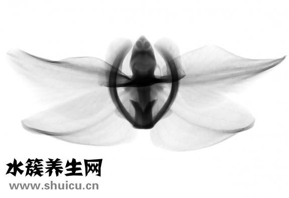 放射線怎么