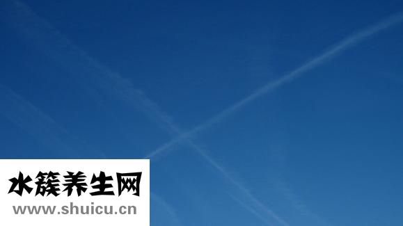 印花怎么畫