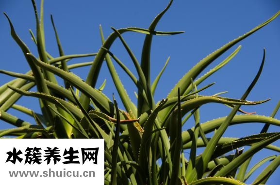 怎么可以去除痘印