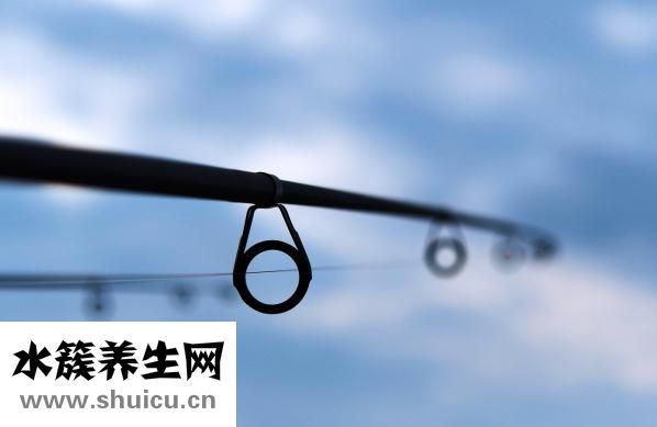 春天怎么釣魚
