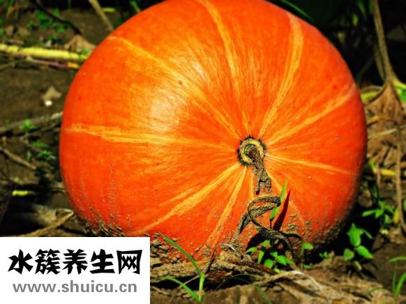 怎么炒南瓜