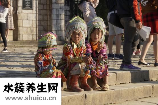 海靈芝怎么吃