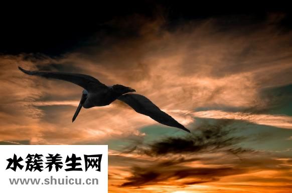 小孩怎么斷奶