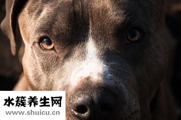 怎么斗雞眼