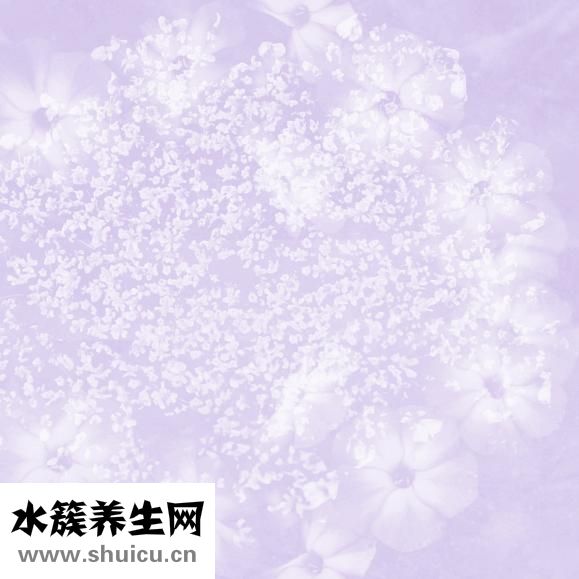 怎么預防黃疸