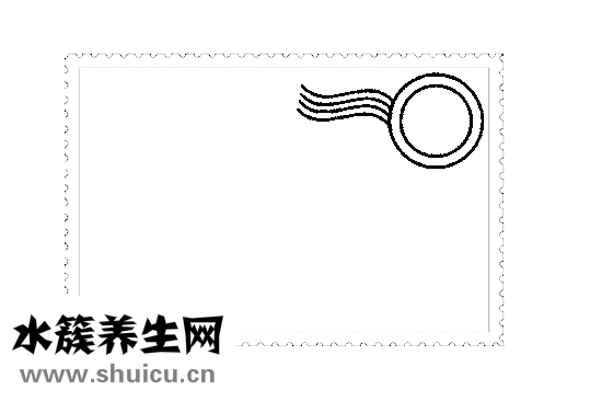 表性格怎么寫