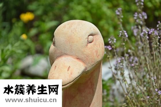 放屁帶血怎么