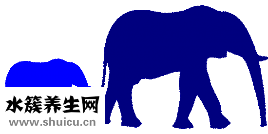 怎么預防黃疸