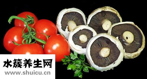 怎么取魚苦膽