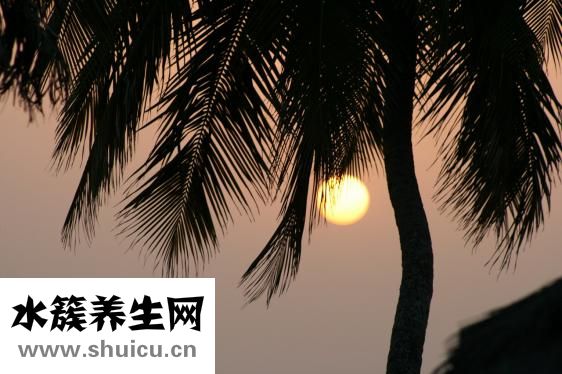 手心發粘怎么回事