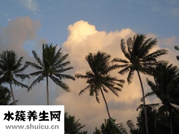 手心發粘怎么回事
