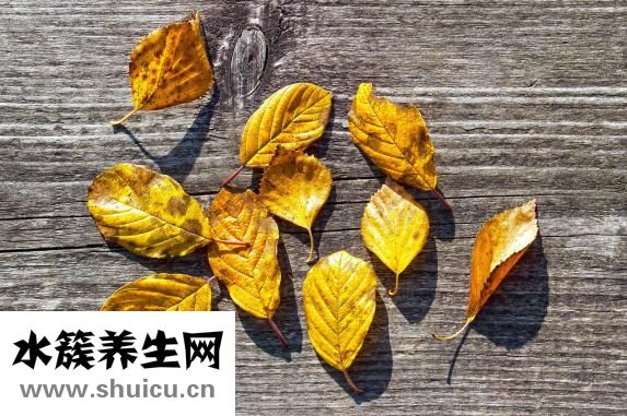 肉圓子怎么炸