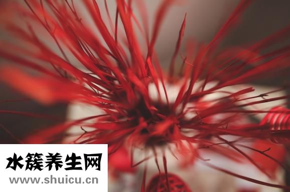 紅繩怎么玩