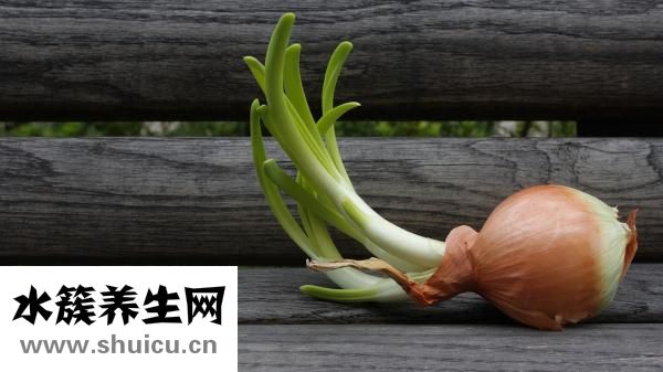 麻汁怎么調好吃