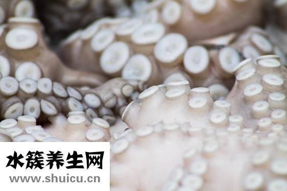 章魚的烏魚怎么吃