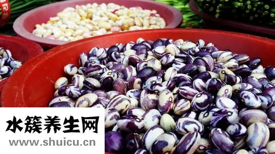 出豆子怎么辦