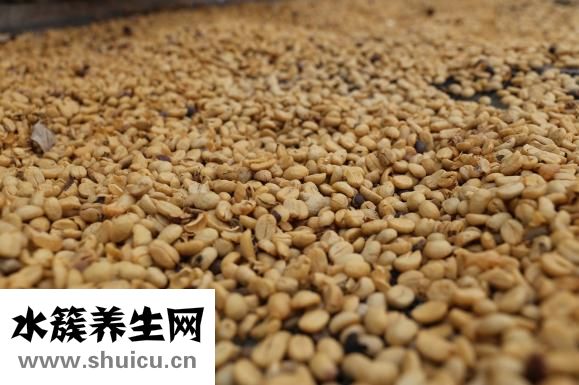 出豆子怎么辦