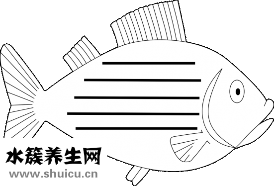 怎么站好軍姿