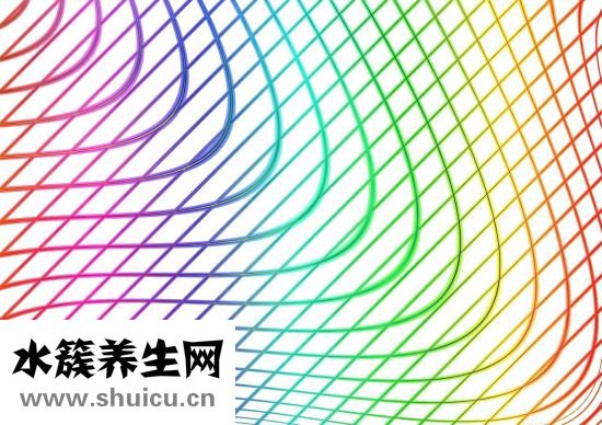 英文結婚請帖怎么寫