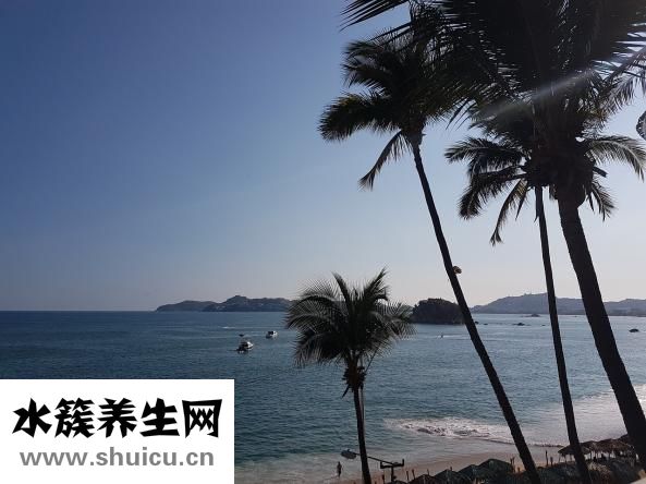 手心發粘怎么回事