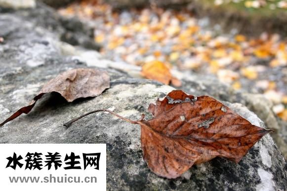 紅繩怎么玩