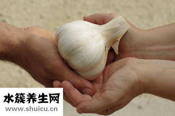 板鴨怎么炒