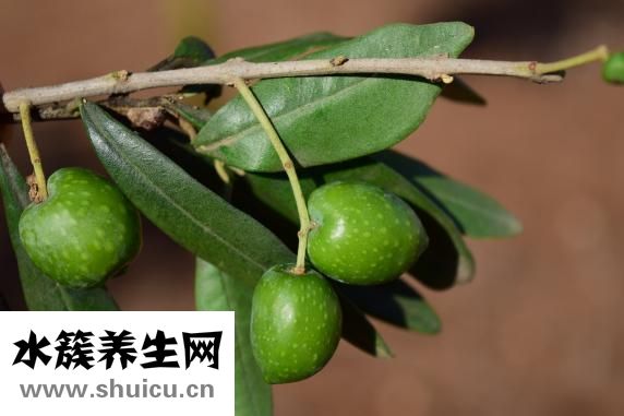貝特令怎么吃