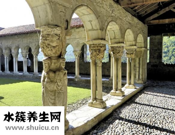 貝特令怎么吃
