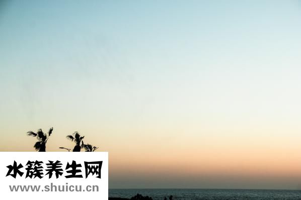 手心發粘怎么回事