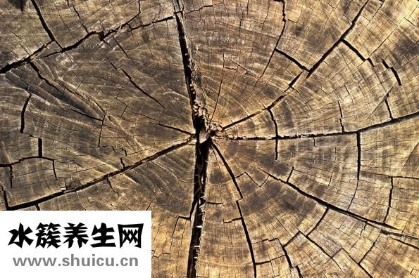 怎么填寫信封