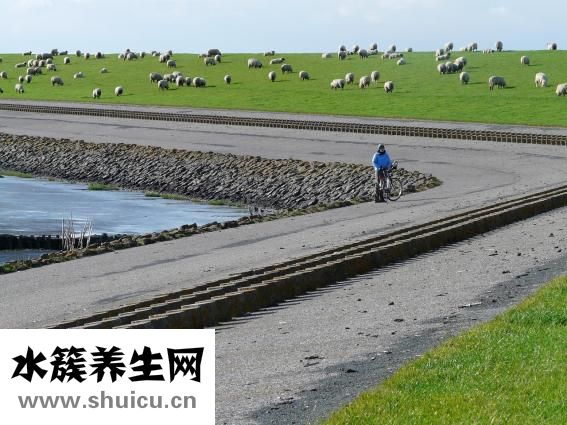 怎么吹馬哨