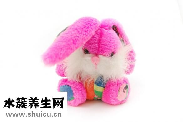 海兔子怎么做