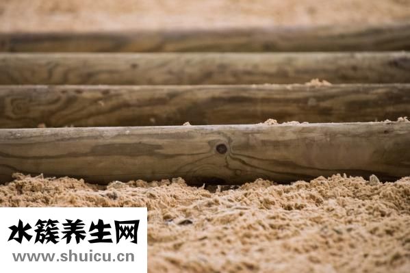 小青龍怎么燒