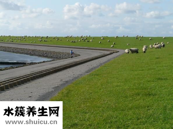 怎么吹馬哨