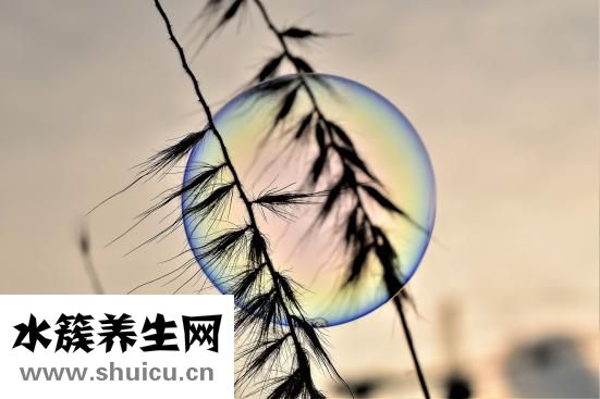 怎么保養肝臟