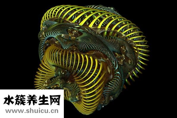 德國切肉刀怎么選