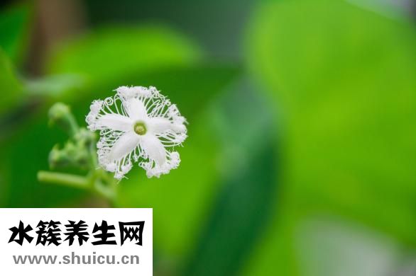 針灸怎么下針