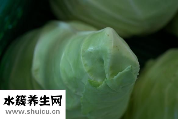平菇怎么保鮮