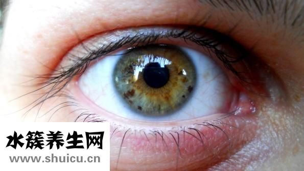 玫瑰百合怎么養