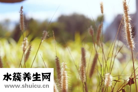 怎么發表科學文獻