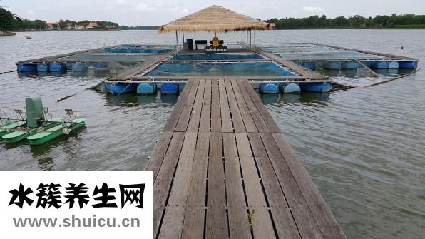 斑魚湯怎么做