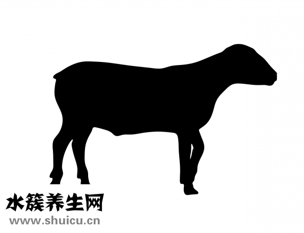 新鮮狗肉怎么做好吃