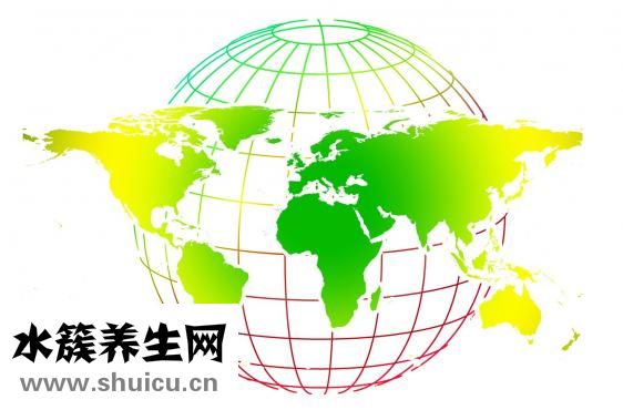 怎么區分野生甲魚