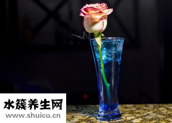 提取物怎么發貨