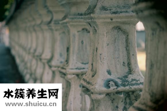 針灸怎么下針