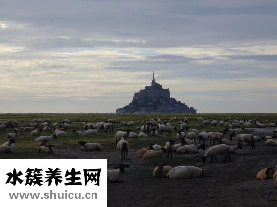 風衣怎么折