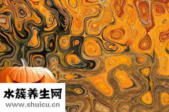 怎么燉冬瓜