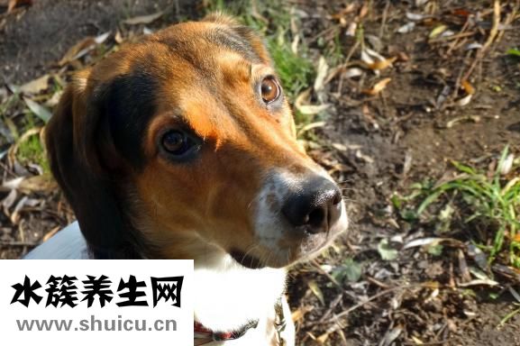 怎么讓眼睛腫