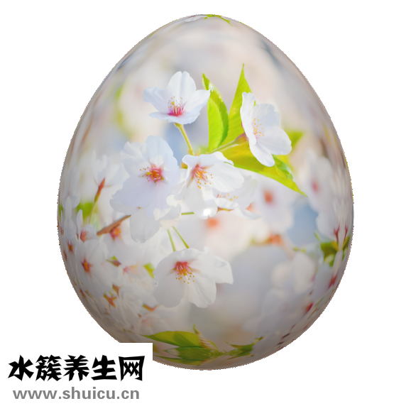 怎么煮涼粉