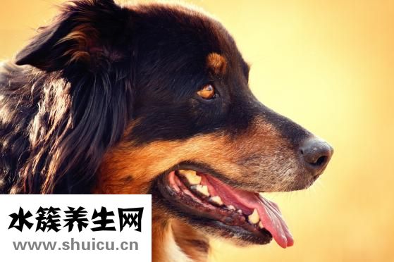 背心涼怎么辦